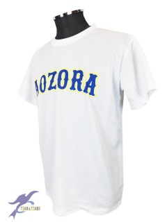 オーダー　駒澤大学　野球サークル オリジナルTシャツ  背ネーム　個人名　 青空会様
