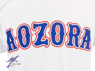 駒澤大学　野球サークル オリジナル昇華Tシャツ  チームウェア