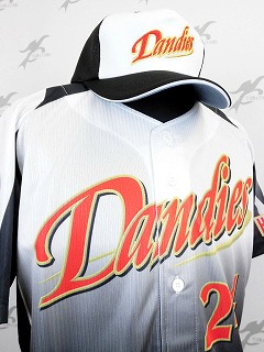 TEAMSオリジナルデザイン　野球ユニフォーム　３D昇華 北海道