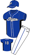 TMS-91021