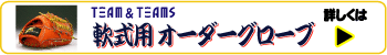 TEAMSオリジナル軟式オーダーグローブ