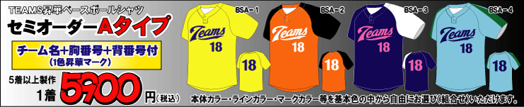 野球　昇華ベースボールシャツＡタイプ