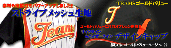 ＮＥＷストライプメッシュ生地＆オプションにデザインキャップ追加