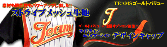 ＮＥＷストライプメッシュ生地＆オプションにデザインキャップ追加